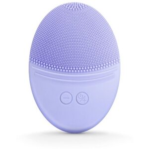 EZBASICS Facial Cleansing Brush Made with Soft Silicone, Waterproof Sonic Vibrating Face Brush, Inductive Charging (Violet)1 Pack+5 Speed Settings