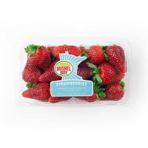 Greenhouse Grown Fresh Strawberries - 12oz